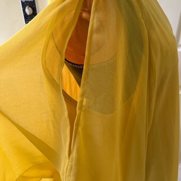 Beautiful Chiffon Dress or Top - Picture 8 of 8